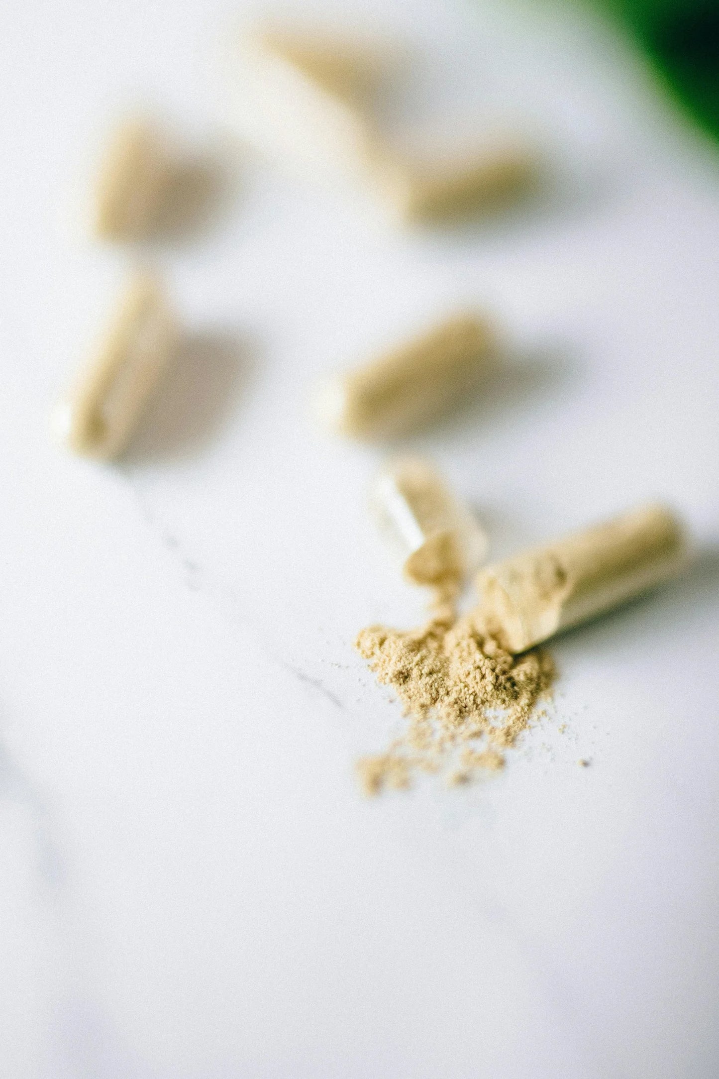 Vegan Microdose Capsules