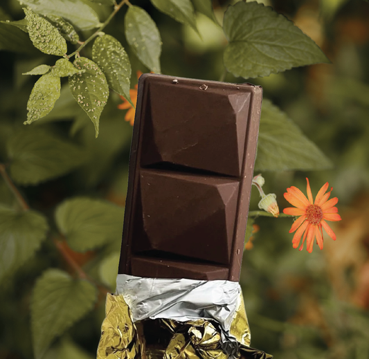Awakened Cacao Bars