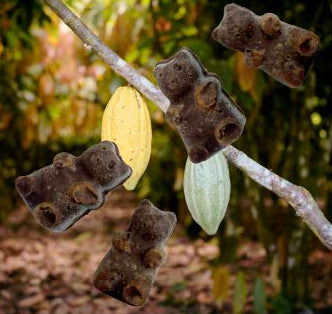 Vegan Microdose Bears